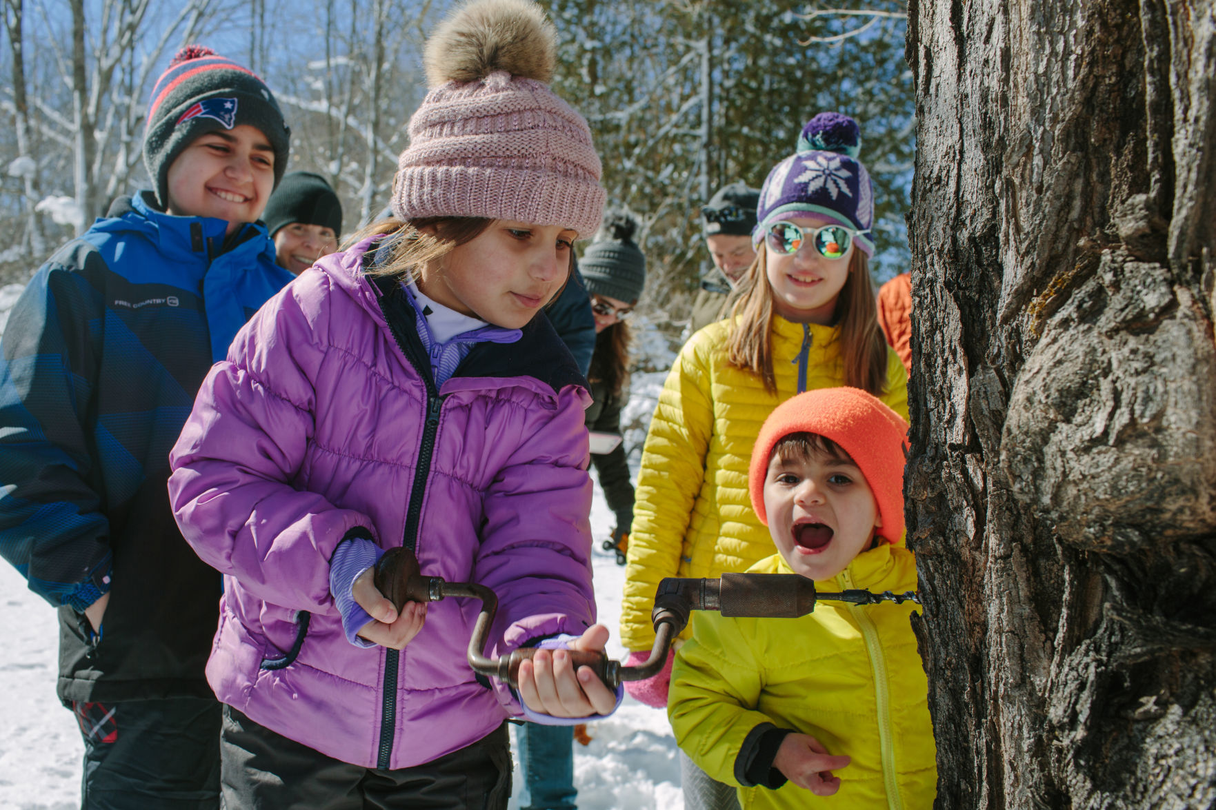 Maple Experience at The Rocks
